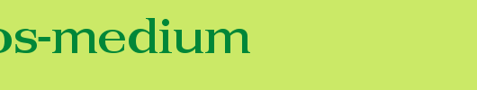 Priamos-Medium.ttf