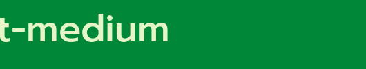 Prompt-Medium.ttf