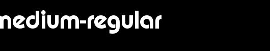 Puente-Medium-Regular.ttf