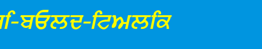 Punjabi-Bold-Italic.ttf