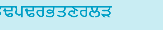 Punjabi-Bold-copy-1-.ttf