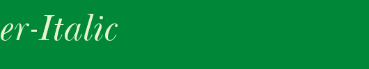 QTBasker-Italic_英文字体