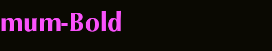 QTOptimum-Bold_英文字体