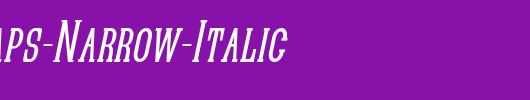 Quastic-Kaps-Narrow-Italic_英文字体