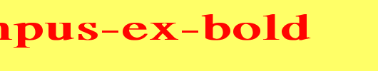 RSTempus-Ex-Bold.ttf 好看的英文字体