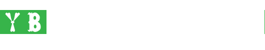 RSToyBlock-copy-1-.ttf 好看的英文字体