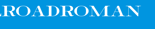 RailroadRoman.ttf 好看的英文字体