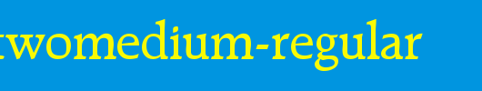 RaleighTwoMedium-Regular.ttf 好看的英文字体