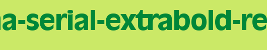 Ravenna-Serial-ExtraBold-Regular.ttf 好看的英文字体