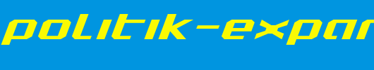 Realpolitik-Expanded-Italic.ttf 好看的英文字体