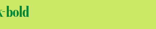 RecitalSSK-Bold.ttf 好看的英文字体