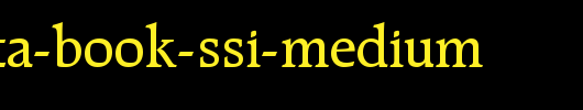 Recognita-Book-SSi-Medium.ttf 好看的英文字体