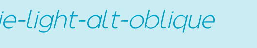 Regencie-Light-Alt-Oblique.ttf 好看的英文字体