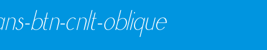 Register-Sans-BTN-CnLt-Oblique.ttf 好看的英文字体