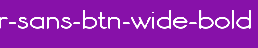 Register-Sans-BTN-Wide-Bold.ttf 好看的英文字体