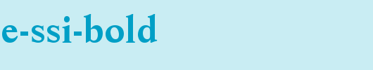 Resource-SSi-Bold.ttf 好看的英文字体