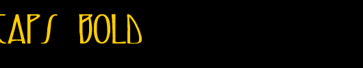 ReynoldCaps-Bold.ttf 好看的英文字体