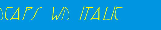 ReynoldCaps-Wd-Italic.ttf 好看的英文字体