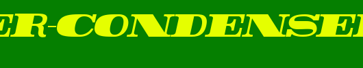 Rider-Condensed-ExtraBlack-Italic.ttf 好看的英文字体
