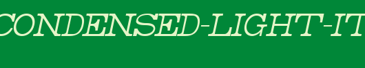 Rider-Condensed-Light-Italic.ttf 好看的英文字体