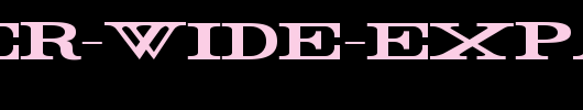 Rider-Wide-Expanded-Bold.ttf 好看的英文字体