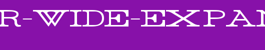 Rider-Wide-Expanded-Light.ttf 好看的英文字体