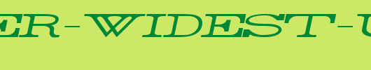 Rider-Widest-Ultra-expanded-Light-Italic.ttf 好看的英文字体