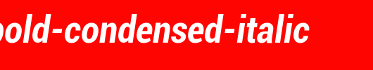 Roboto-Bold-Condensed-Italic.ttf 好看的英文字体