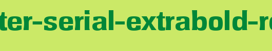 Rochester-Serial-ExtraBold-Regular.ttf 好看的英文字体