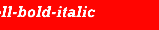 Rockwell-Bold-Italic.ttf 好看的英文字体