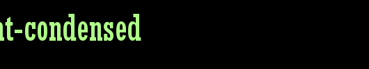 Rockwell-MT-Condensed.ttf 好看的英文字体