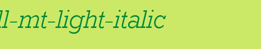 Rockwell-MT-Light-Italic.ttf 好看的英文字体
