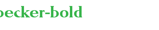 RonaldBecker-Bold.ttf 好看的英文字体