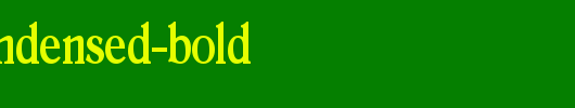 Roomy-Condensed-Bold.ttf 好看的英文字体