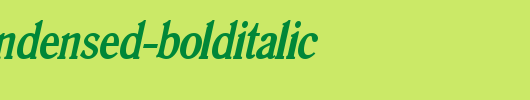 Roomy-Condensed-BoldItalic.ttf 好看的英文字体