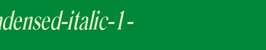 Roomy-Condensed-Italic-1-.ttf 好看的英文字体