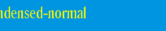 Roomy-Condensed-Normal.ttf 好看的英文字体