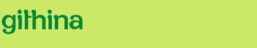 RoppongiThinA.ttf 好看的英文字体