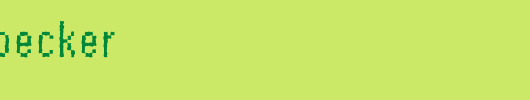 Rough57-Becker.ttf 好看的英文字体