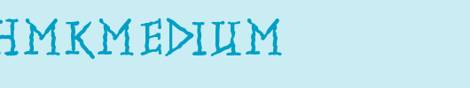 RunishMKMedium.ttf 好看的英文字体