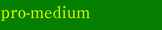 日本外字集字体系列RyuminPro-Medium.otf