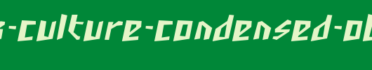 SF-Junk-Culture-Condensed-Oblique.ttf是一款不错的英文字体下载
