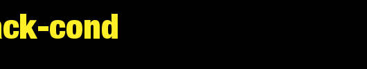 Sans-Black-Cond..ttf是一款不错的英文字体下载
