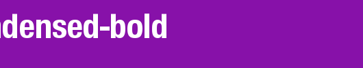Sans-Condensed-BOLD.ttf是一款不错的英文字体下载