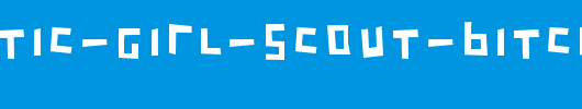 Sarcastic-Girl-Scout-Bitch.ttf是一款不错的英文字体下载