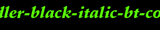 Schneidler-Black-Italic-BT-copy-1-.ttf是一款不错的英文字体下载