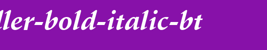 Schneidler-Bold-Italic-BT.ttf是一款不错的英文字体下载