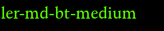 Schneidler-Md-BT-Medium.ttf是一款不错的英文字体下载