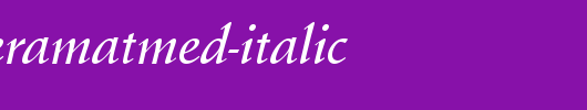 SchneidlerAmaTMed-Italic.ttf是一款不错的英文字体下载
