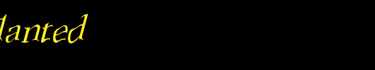 ScoriaBSlanted.ttf是一款不错的英文字体下载